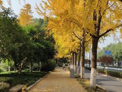-苏州市立医院本部母子保健中心