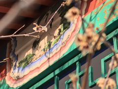-丰台花园