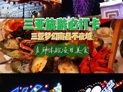 -三亚海昌梦幻海洋不夜城