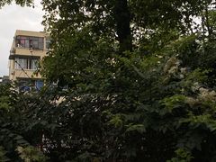 -左撇子私房面