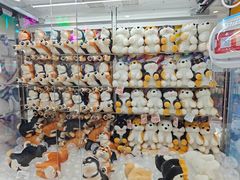 -新城市广场