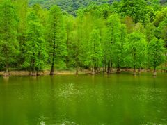 -广州市白云山风景名胜区