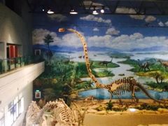 -自贡恐龙博物馆