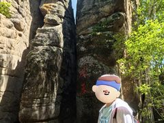 -汤旺河林海奇石景区