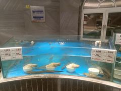 -万盛合(渔人码头店)