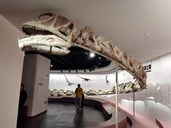 -自贡恐龙博物馆