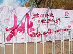 -桃花堤公园
