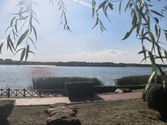 -丁香湖公园