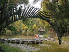 -深圳国际园林花卉博览园