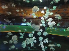 -西安华夏文旅水世界