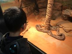 -费瑟代尔野生动物园