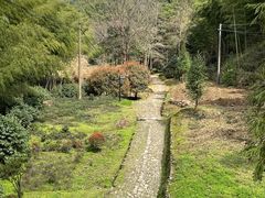 -仙霞关景区