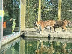 -上海野生动物园