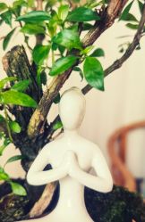 -闺蜜瑜伽·普拉提女性塑形馆