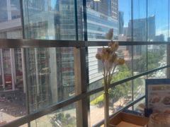 -小大董·烤鸭(观景餐厅·南京西路店)