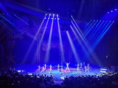 -珠海横琴长隆《卡卡虎奇遇记》