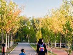 -永定河休闲森林公园