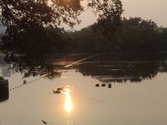 -荔湾湖公园