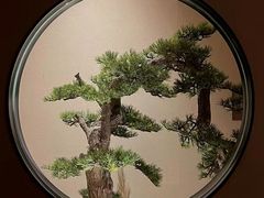 -觅唐MITONG(鸟巢店)