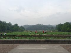 iphone_upload_pic-清漾毛氏文化村