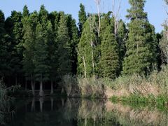 -捞渔河湿地公园