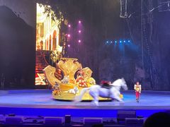 -广州长隆国际大马戏