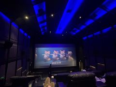 -春天国际影城(中庚漫游城杜比全景声店)