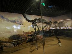 -恩格贝生态旅游区