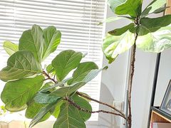 -铜锣湾国际购物中心