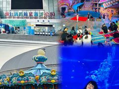 -烟台海昌鲸鲨海洋公园