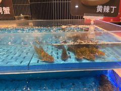 -海底捞火锅(长宁路龙之梦店)