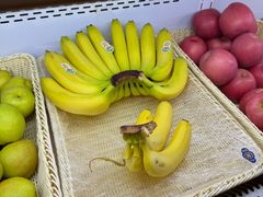 -尚荟汤泉生活馆