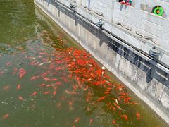 -西安汉城湖景区