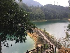 -广州市流溪河国家森林公园