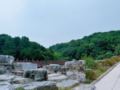 -北京西山国家森林公园