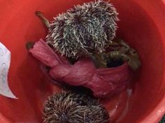 -QQ海鲜餐厅
