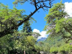 -靖西鹅泉风景区
