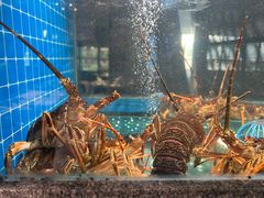 -码头鲜精致威海菜(欧乐坊店)