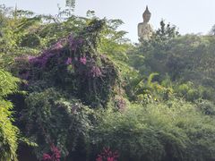 -西双版纳勐泐文化旅游区