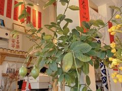 -小晴天咖啡馆