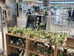 -MUJI无印良品(大悦城店)