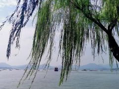 -阿飛冰室(下沙店)