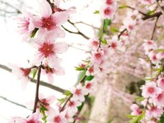 -庄老幺火锅(娄山关路店)