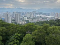-金鸡山公园