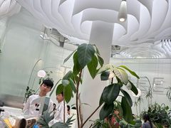 -大树餐厅(环球港店)