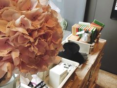 -Seesaw Coffee(上生新所店)