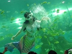 -苏州海洋馆