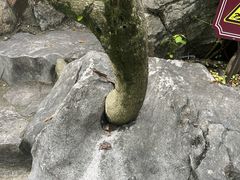 -济公故居