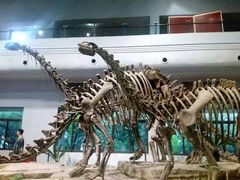 -自贡恐龙博物馆