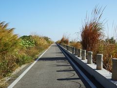 -芒洲湿地公园